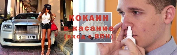 стафф Алзамай