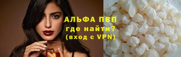 стафф Алзамай