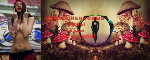 таблы Алексеевка