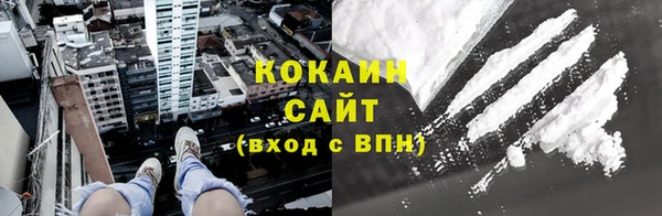 стафф Алзамай