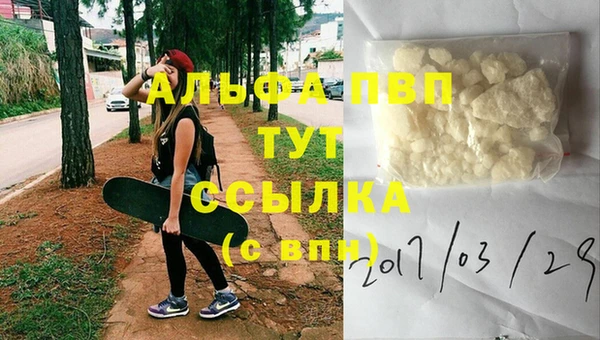 стафф Алзамай