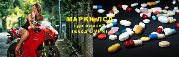 стафф Алзамай